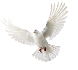 AY YILDIZ BİR YOLDAYIZ